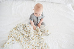 Copper Pearl Large Premium Knit Baby Swaddle Receiving Blanket"Chip", 9.6 Ounces
