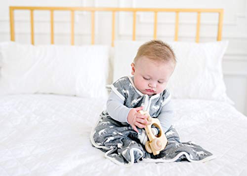 Copper Pearl Premium 3-Layer Knit Sleep Bag "Scout" by - 6-12 Months