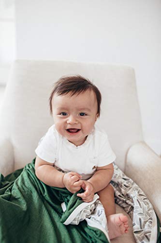 Copper Pearl Large Premium Knit Baby 3 Layer Stretchy Quilt Blanket"Alta" by Copper Pearl