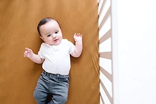 Copper Pearl Premium Fitted Knit Crib Sheet/Toddler Sheet Camel, 0.60 gram (X0029HCJ2P)