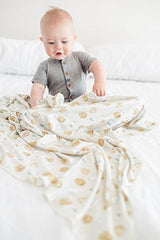 Copper Pearl Large Premium Knit Baby Swaddle Receiving Blanket"Chip", 9.6 Ounces