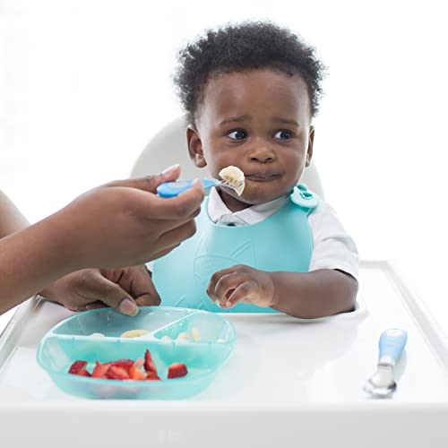 Dr. Brown's Divided Plates, 3 Pack