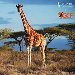 Sophie la girafe - Save The Giraffes Gift Set - Teething Toy Made of Natural Rubber for Babies and Toddler - Sophie la Girafe Keychain - For 3 Months+ - 516514