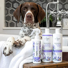 Isle of Dogs Volumizing Conditioner with Keratin, 16-Ounce