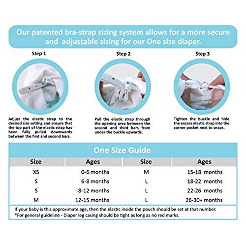 Charlie Banana Diaper and 2 Inserts Grab Pack, The William, One Size