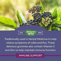 Nature's Way Sambucus Immune Original Cold and Flu Care Elderberry Gummies with Vitamin C and Zinc – Used in Herbal Medicine for Immune Support for Adults and Kids 4+, 60 Gummies