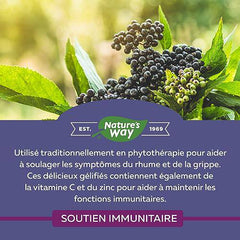 Nature's Way Sambucus Immune Original Cold and Flu Care Elderberry Gummies with Vitamin C and Zinc – Used in Herbal Medicine for Immune Support for Adults and Kids 4+, 60 Gummies