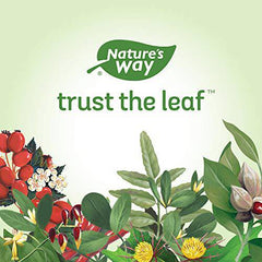 Nature’s Way Marshmallow Root - Dry Cough Relief with Marshmallow Root - 100 Vegetarian Capsules