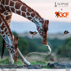 Sophie la girafe - Save The Giraffes Gift Set - Teething Toy Made of Natural Rubber for Babies and Toddler - Sophie la Girafe Keychain - For 3 Months+ - 516514