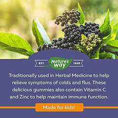 Nature's Way Sambucus Immune Cold and Flu Care Elderberry Gummies with Vitamin C and Zinc - Immune Support for Kids 4+, 60 Gummies