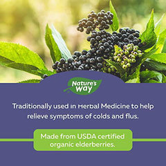Nature's Way Sambucus Organic Cold and Flu Care – Elderberry Syrup Used in Herbal Medicine to Help Relieve Symptoms (Coughs and Sore Throats) in Adults, 240 ml