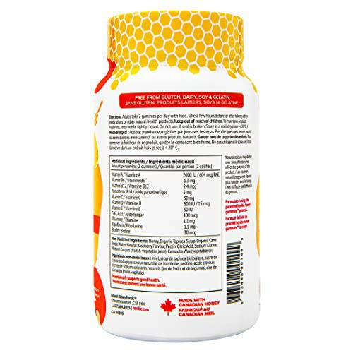 Honibe Complete Adult Multivitamin Gummies | Honey-Based Vitamins Made in Canada | Chewable Gummy Multivitamins for Women or Men | Daily Essential Vitamins and Minerals | Vegetarian Vitamin Gummies | 70 gummies |