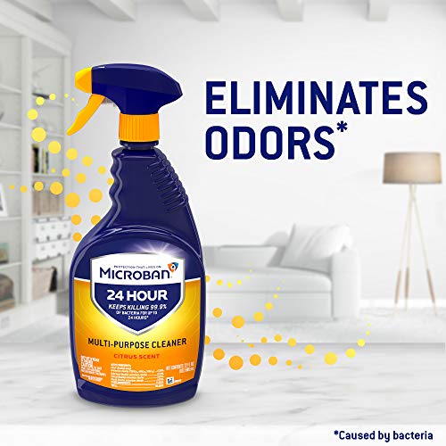 Microban 24 Hour Multi-Purpose Cleaner and Disinfectant Spray - Zecoya
