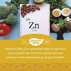 Nature's Way Zinc Gummies - Immune System Support Mineral Supplement – Maintain Healthy Bones, Hair, Skin and Nails - Vegetarian Gummies for Kids 4+ and Adults - Mixed Berry Flavour, 60 Gummies