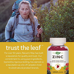 Nature's Way Zinc Gummies - Immune System Support Mineral Supplement – Maintain Healthy Bones, Hair, Skin and Nails - Vegetarian Gummies for Kids 4+ and Adults - Mixed Berry Flavour, 60 Gummies