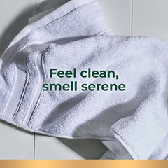 Irish Spring Original Clean Body Wash for Men, 887 mL Pump