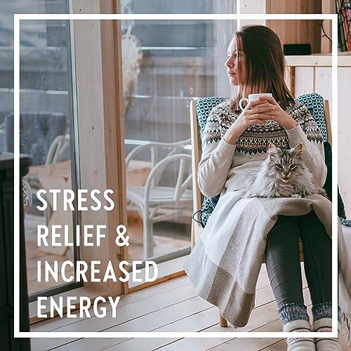 New Chapter Holy Basil Force with Supercritical Holy Basil for Immune Support + Mood Support + Non-GMO Ingredients - 30 ct Vegetarian Capsules