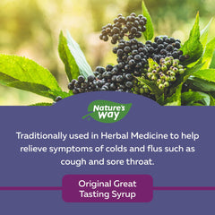 Nature's Way Sambucus Cold and Flu Care Original – Elderberry Syrup Used in Herbal Medicine to Help Relieve Symptoms (Coughs and Sore Throats) in Adults, 120 ml