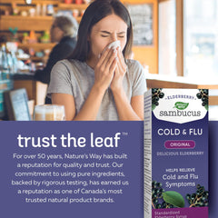 Nature's Way Sambucus Cold and Flu Care Original – Elderberry Syrup Used in Herbal Medicine to Help Relieve Symptoms (Coughs and Sore Throats) in Adults, 120 ml