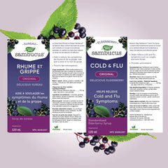 Nature's Way Sambucus Cold and Flu Care Original – Elderberry Syrup Used in Herbal Medicine to Help Relieve Symptoms (Coughs and Sore Throats) in Adults, 120 ml